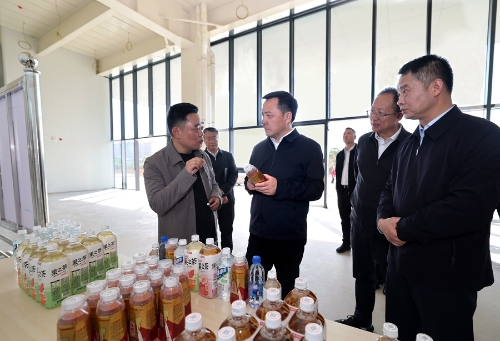 刘洪建实地察看东鹏饮料昆明基地项目建设情况。_副本