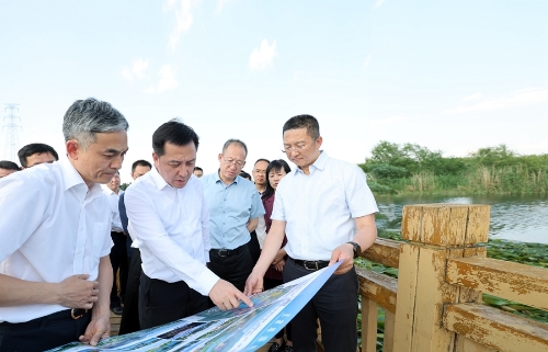 刘洪建一行调研王家堆湿地。_副本