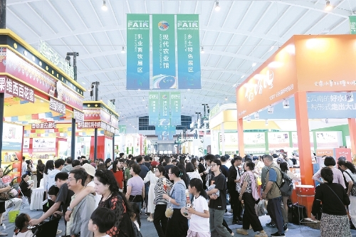 市民到南博会现场参观打卡。 记者杨艳辉摄